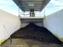 Dehus 3